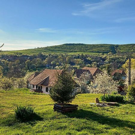 Siklód. Csaba vendégház (5 fő) Siclod Exterior foto