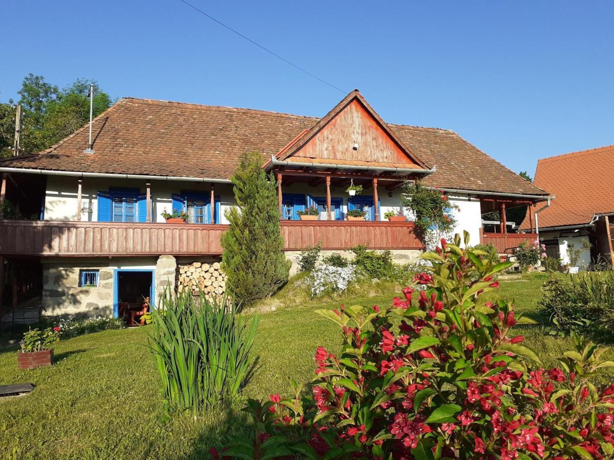 Siklód. Csaba vendégház (5 fő) Siclod Exterior foto