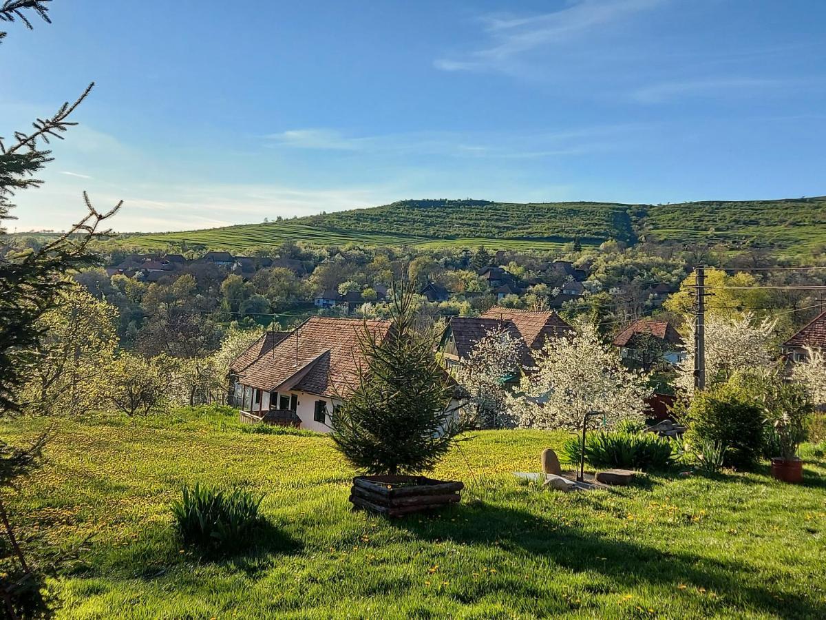 Siklód. Csaba vendégház (5 fő) Siclod Exterior foto