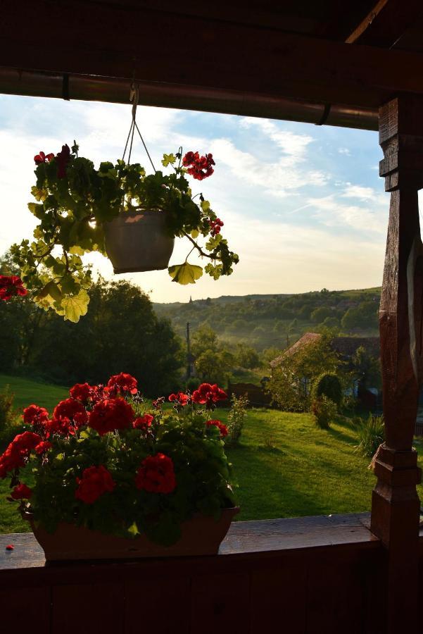 Siklód. Csaba vendégház (5 fő) Siclod Exterior foto